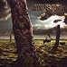 Brainstorm-Memorial Roots