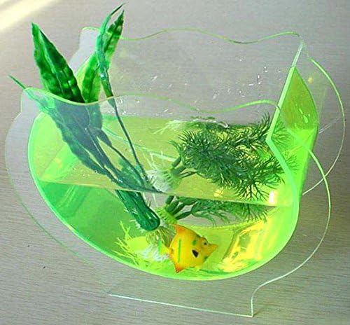 Transparent Acrylic Fish Bowl