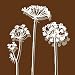 Queen Anne's Lace Print by Andrea Smith - Brown (12x12")