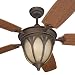 51pbD94GxpL. SL75  Sea Gull Lighting 1622 829 3 Light Ceiling Fan Light Kit, Russet Bronze Finish