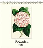 Botanica Desk Calendar Cavallini 2011
