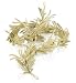 Info/Buy Gold Peacock Feather Garland