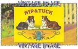2.75 inch x 2 inch (7.5 x 5cm) Acrylic Fridge Magnet Dogs Nip and Tuck Vintage Image