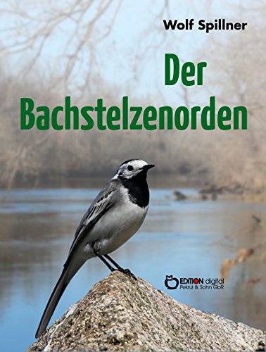 Der Bachstelzenorden: Fünf Erzählungen (German Edition)