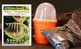 Seedeo Anzuchtset Venus Fliegenfalle (Dionaea muscipula)