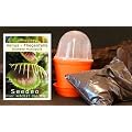 Seedeo Anzuchtset Venus Fliegenfalle (Dionaea muscipula)