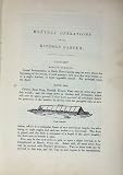 1885 Gardening Sowing Peas Raddish Lettuce Vegetables