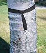 L.L.Bean Hammock Tree Straps