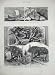 1880 Buckland Tree Dover Viking Ship Sandefjord Norway