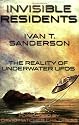 Invisible Residents: The Reality of Underwater UFOs
