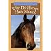 Why Do Horses Have Manes?