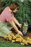Easy Gardener 8011 Garden Defense Action Owl - Head Swivels In The Wind