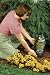 Easy Gardener 8011 Garden Defense Action Owl - Head Swivels In The Wind