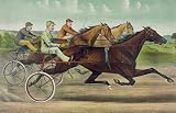 2.75 inch x 2 inch (7.5 x 5cm) Acrylic Fridge Magnet Horse Racing and Trotting Fast Trotting To Fast Wheels Vintage Image