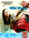 Cover for 9781410917485