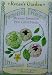 Tomatillos Two Color Mexican Fiesta Seeds 120 Seeds