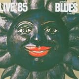 picture of American Folk Blues Festi