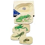Frog Life Cycle Five Layer Puzzle by Beleduc