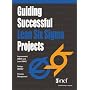 Guiding Successful Lean Six Sigma Projects