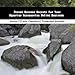 Proven Success Secrets For Your Aquarium Accessories Online Business