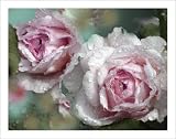 Pink Rose Photography Prints Flower Photos Wall Art, Matted to 11