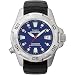 Timex Expedition Blue Dial Watch - Black Strap
