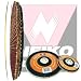 10 Pc 4-1/2 Flap Disc, Alum Oxide, 40 Grit Tool For Grinder