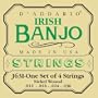D'Addario J63i Irish Tenor Banjo Strings, Nickel, 9-30