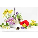 Poster 80 x 50 cm - "Helfende Gartenkr�uter" von Tanja Riedel - auch in anderen Gr��en und als Leinwandbild erh�ltlichvon "POSTERLOUNGE"