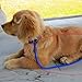 Vktech® Adjustable Dog Pet Training Neck Leash (Blue 1CM)