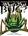 What's That Bug?: Everyday Insects and Their Really Cool Cousins