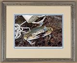 Blue Crab   Mister Jimmy   Fine Art Cotton Print Framed 18x24