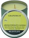 Grapefruit Aromatherapy Candle- 24 hr. burn time- made with 100% pure essential oils