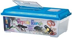 Lee's Reptile Ranch, Large, Rectangle with Lid, Colors may Vary