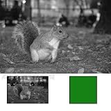 Cokin Series P Yellow/Green Filter