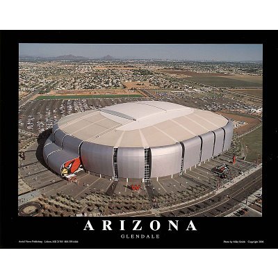 (8x10) Arizona Cardinals University of Phoenix Stadium Sports Poster Print