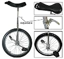 New 20" Unicycle Chrome Unicycle Wheel Cycling
