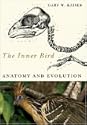 The Inner Bird