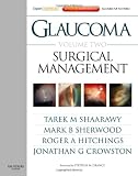 Glaucoma Volume 2: Surgical Management: Expert Consult - Online and Print