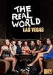 The Real World: Las Vegas, Season 25