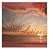 Sleep Solutions (The Calming Collection)