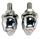 Custom Accessories Skull License Plate Fastners Pair