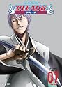 Bleach, Volume 7: The Entry (Episodes 25-28)