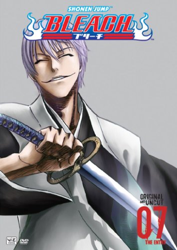 Bleach, Volume 7: The Entry (Episodes 25-28)