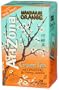 AriZona Mandarin Orange Green Tea with Ginseng & Honey Jasmine, 20 Count Tea Bags, 1.55-Ounce Boxes (Pack of 6)