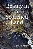 Beauty in a Scorched Land