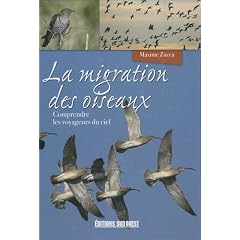 La migration des oiseaux : Comprendre les voyageurs du ciel