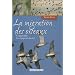 La migration des oiseaux : Comprendre les voyageurs du ciel