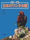 図鑑日本のワシタカ類の画像