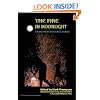 The Fire in Moonlight: Stories from the Radical Faeries 1975-2010